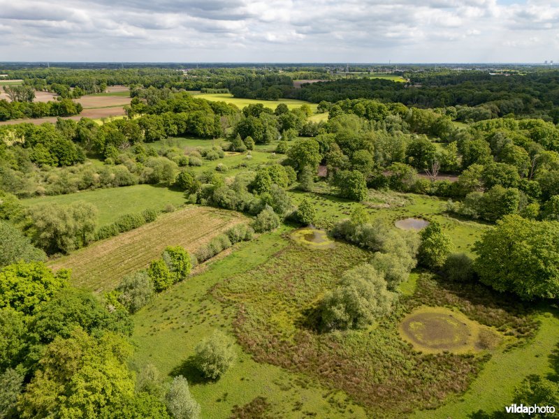 Natuurgebied De Brand
