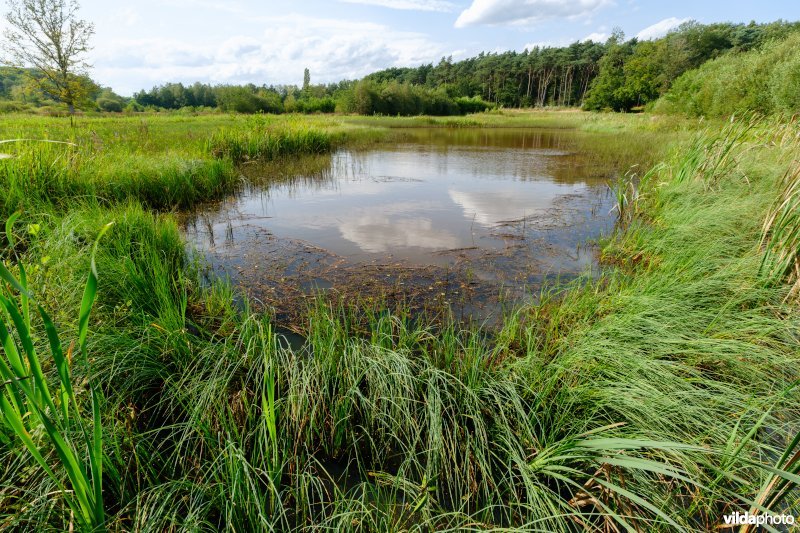 3130_aom / 7140_meso