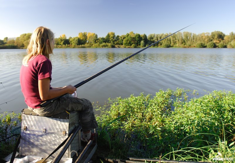 Vissen aan het Schulensmeer