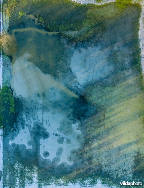 Winters overstroomd grasland