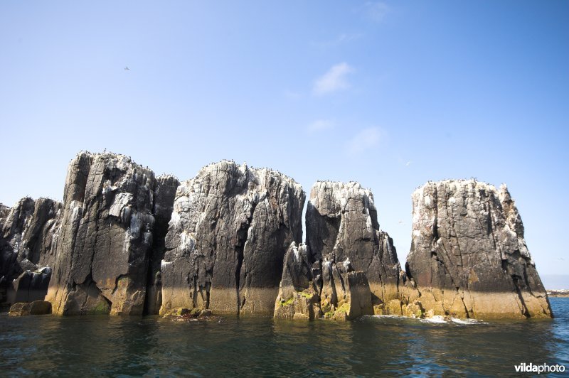Zicht op de Farne Islands