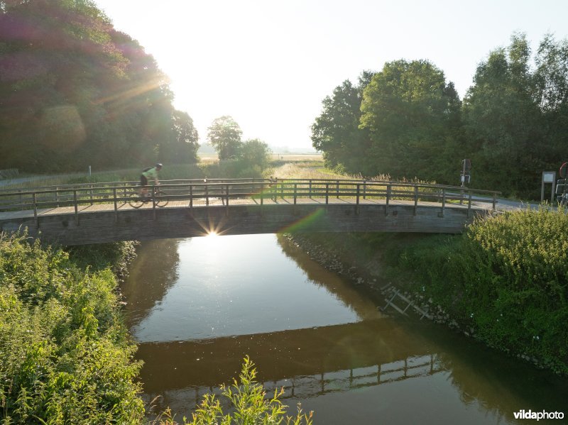 Demervallei: Langdorp