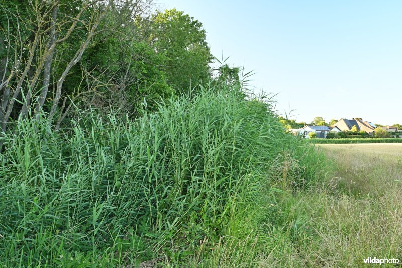 Demervallei: Heuvels Laakvallei 