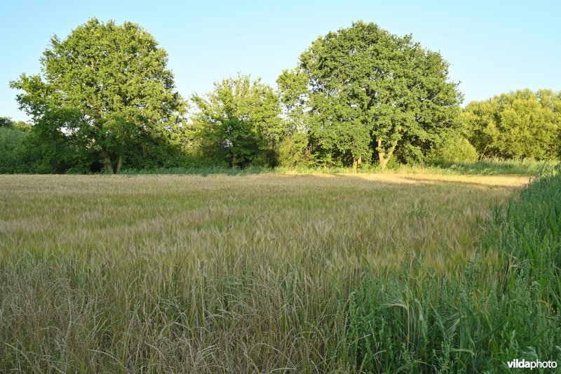 Demervallei: Heuvels Laakvallei 