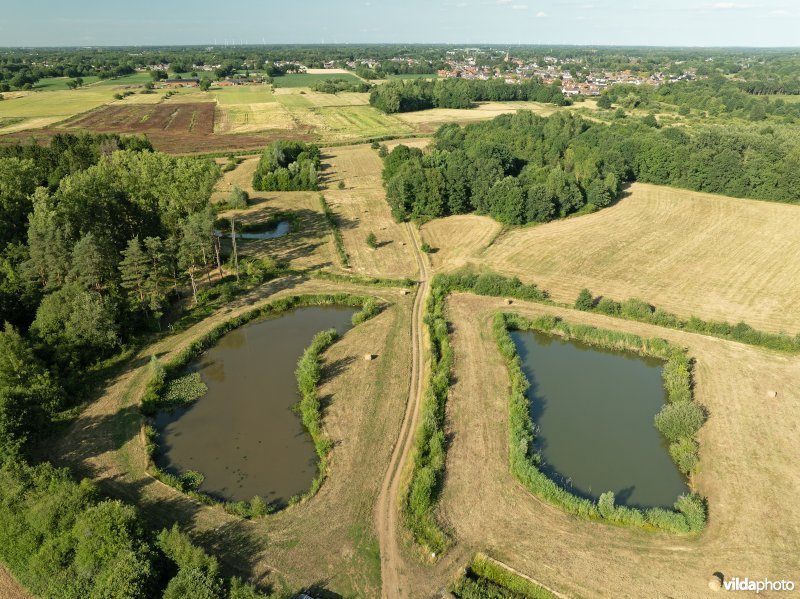 Grote Nete   