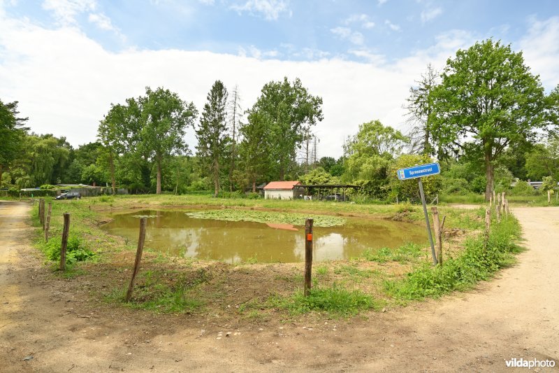 Demervallei: Doodbroek 