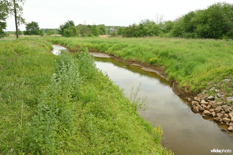 Demervallei: Kloosterbeemden