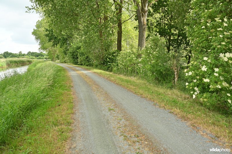 Demervallei: Molenstedebroek