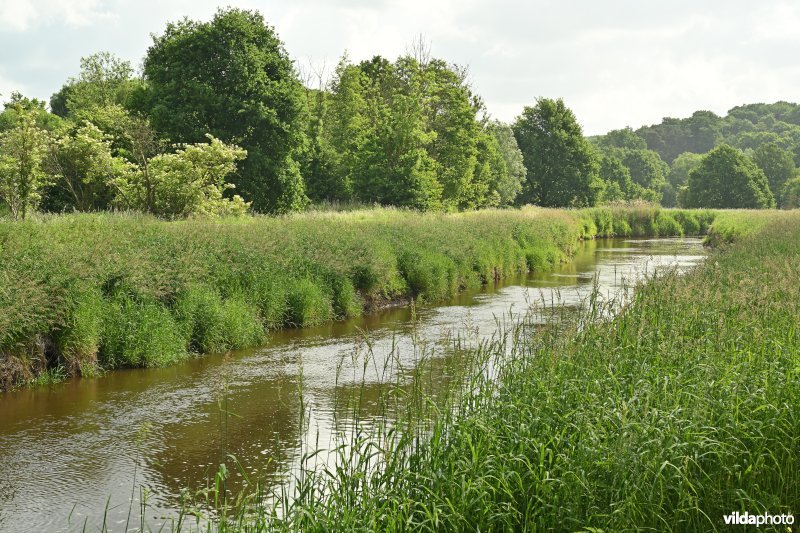 Demervallei: Vinkenberg