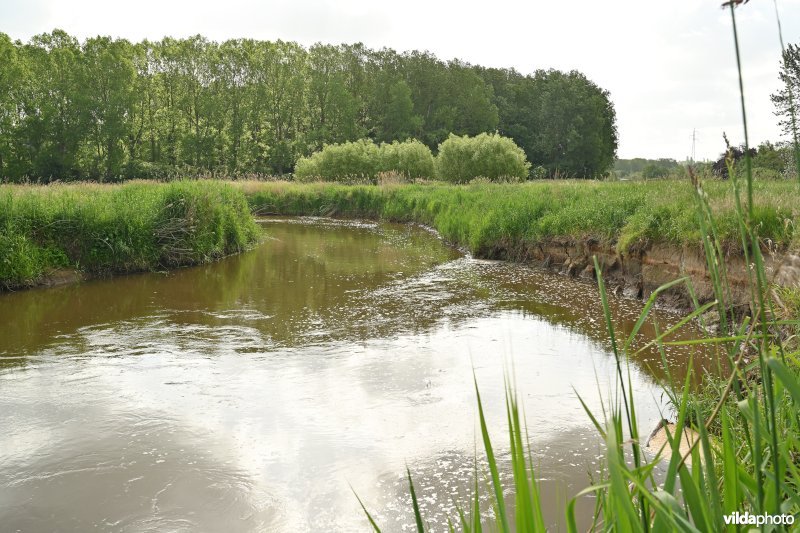 Demervallei: Vinkenberg