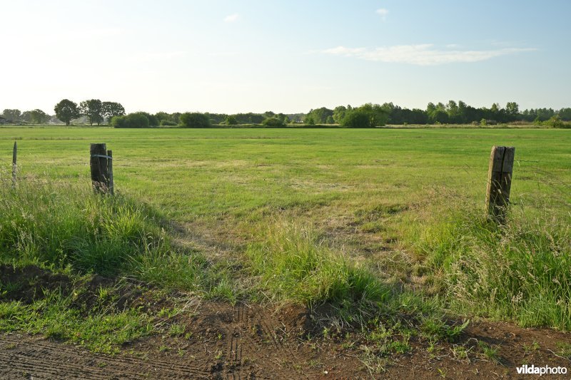 Bruggeneindse Laakvallei