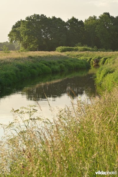 Grote Nete   
