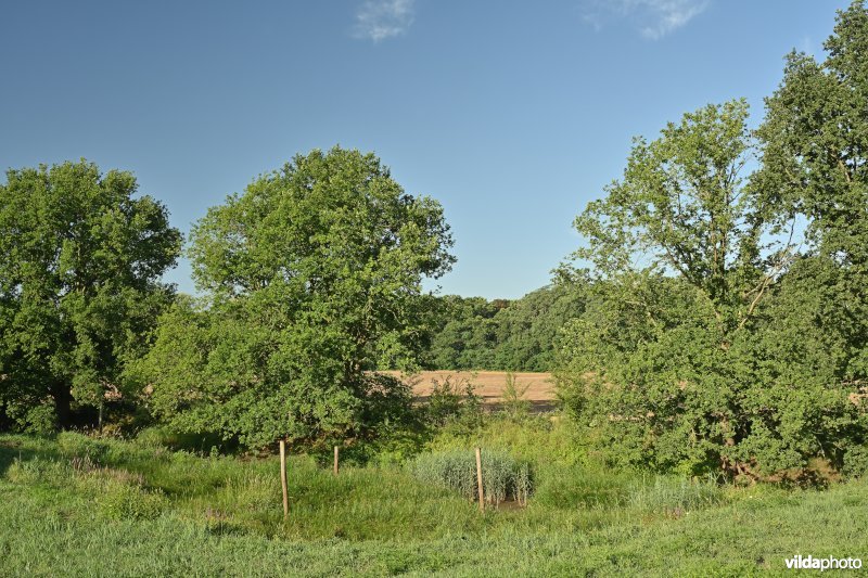 Demervallei 