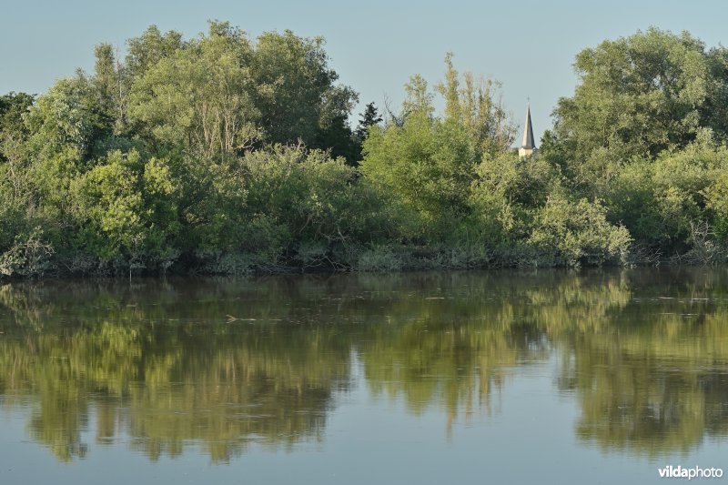 Schelde bij hoogtij aan de Vlassenbroekse polder