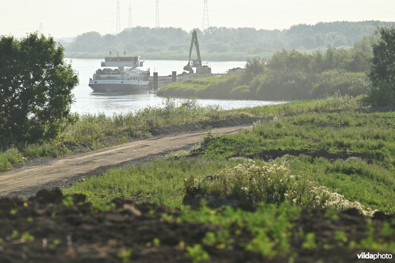 Groot Schoor te Bornem