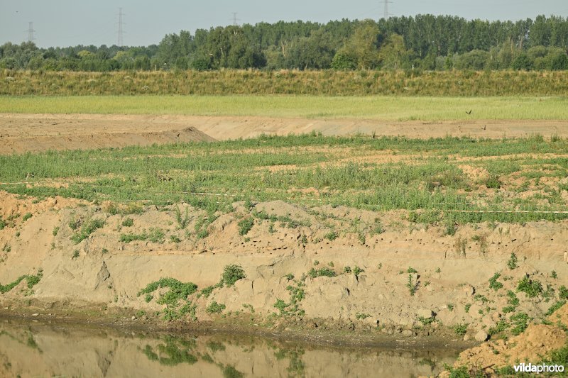 Groot Schoor te Bornem