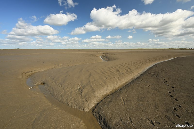 Hedwige-Prosperschor