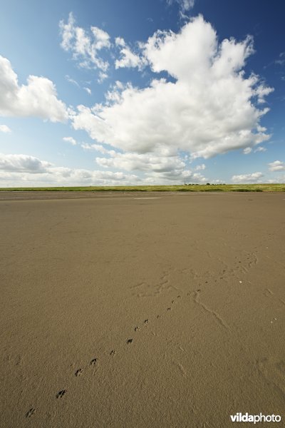 Hedwige-Prosperschor