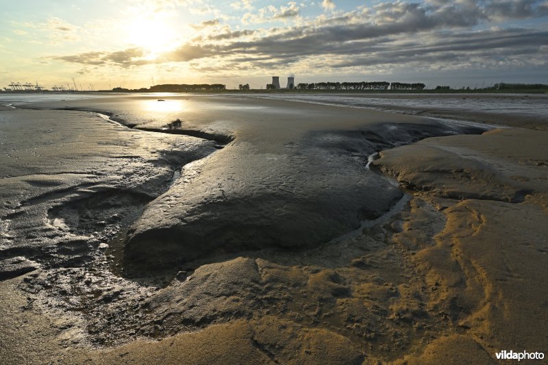 Hedwige-Prosperschor