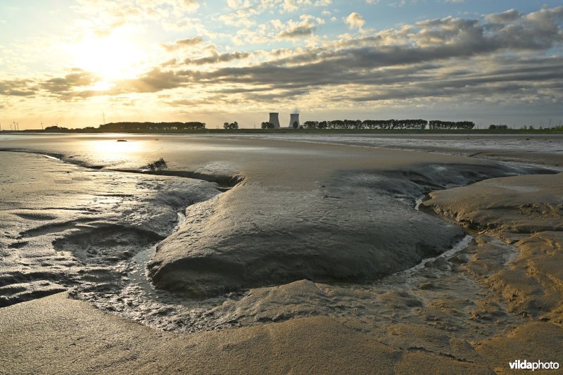 Hedwige-Prosperschor