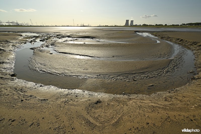 Hedwige-Prosperschor