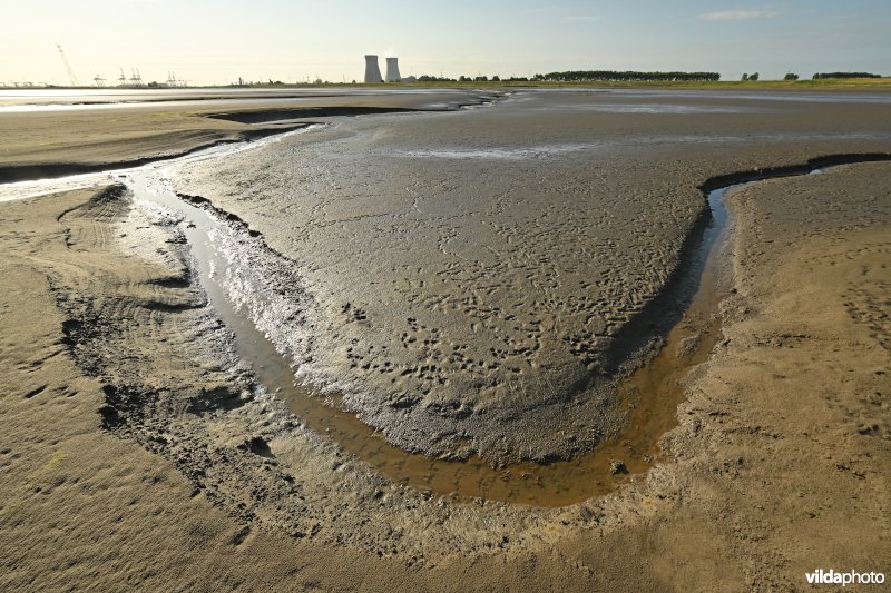 Hedwige-Prosperschor