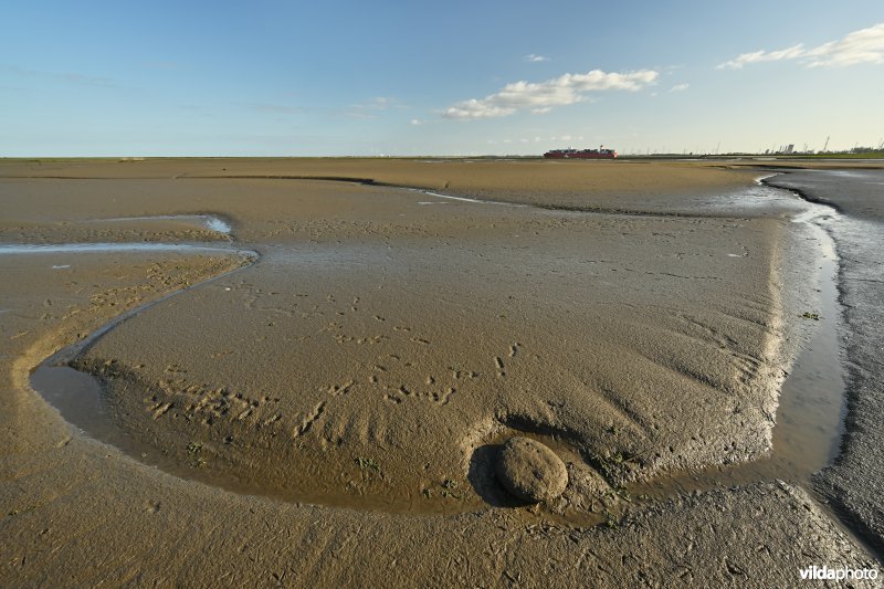 Hedwige-Prosperschor