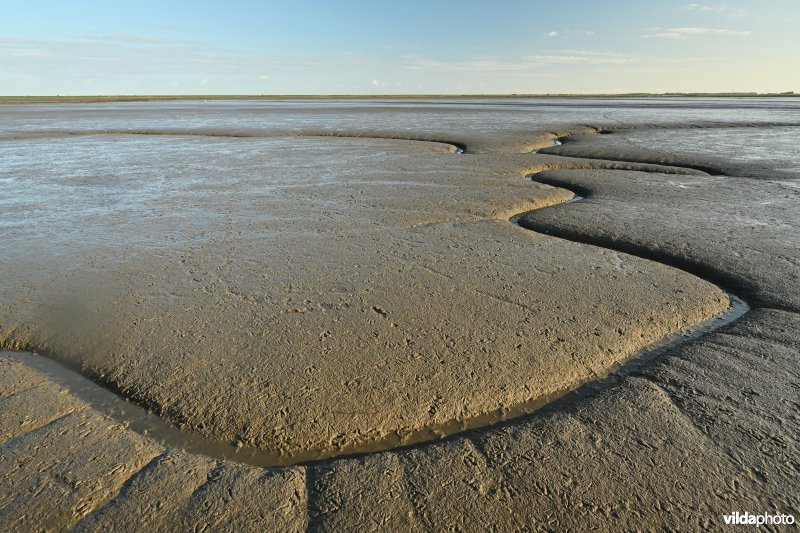 Hedwige-Prosperschor