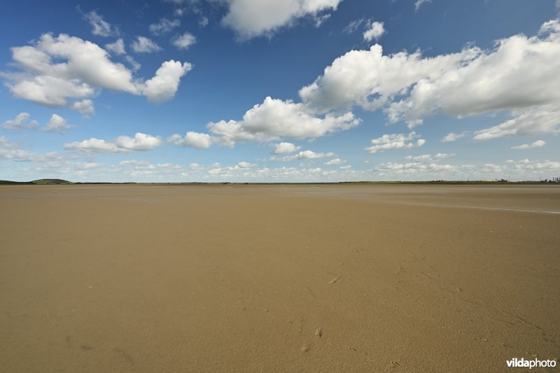 Hedwige-Prosperschor