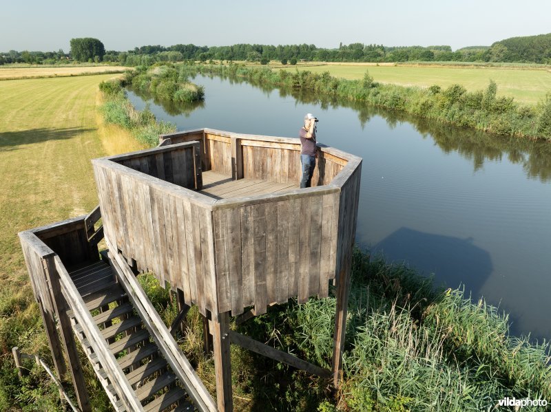 Uitkijktoren aan de oude Schelde in de Kalkense Meersen