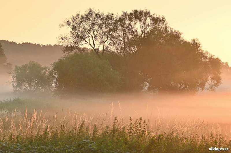 Demervallei: Langdorp