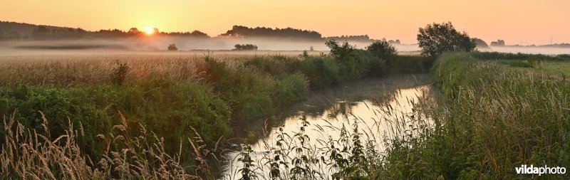 Demervallei: Langdorp