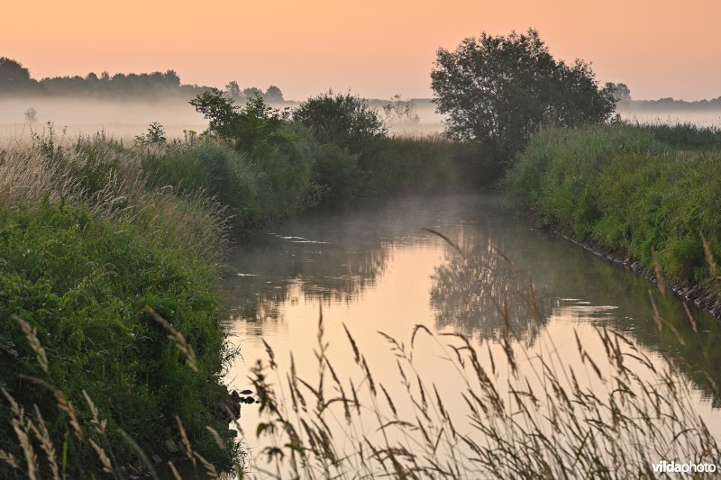 Demervallei: Langdorp