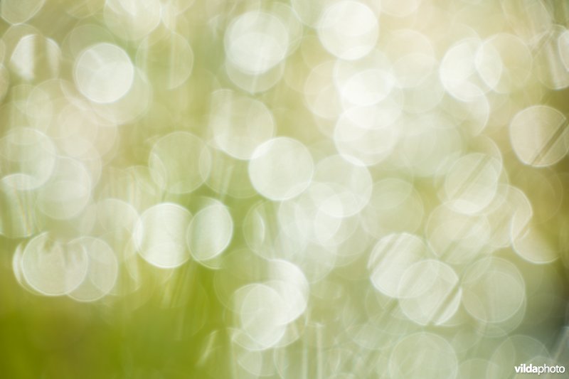 Reflectie van de zon