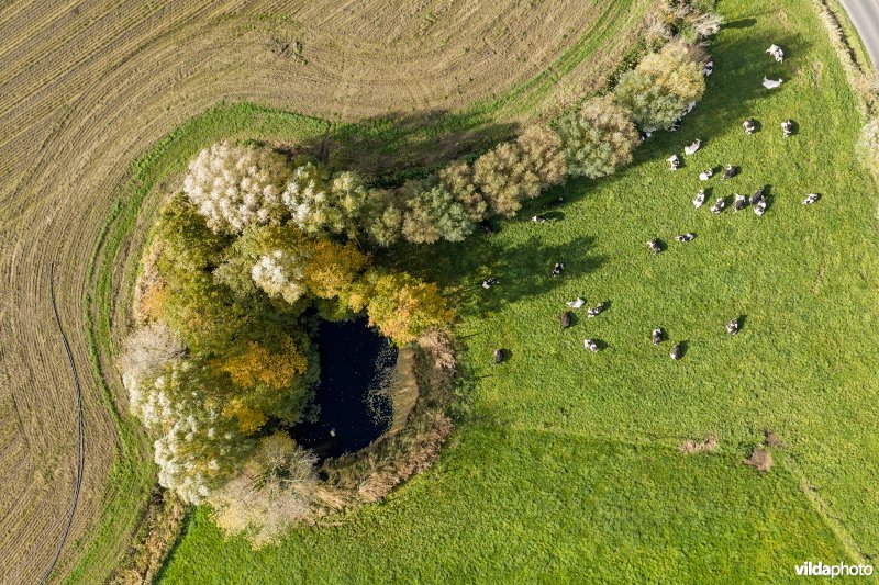 Polygonebeekvallei