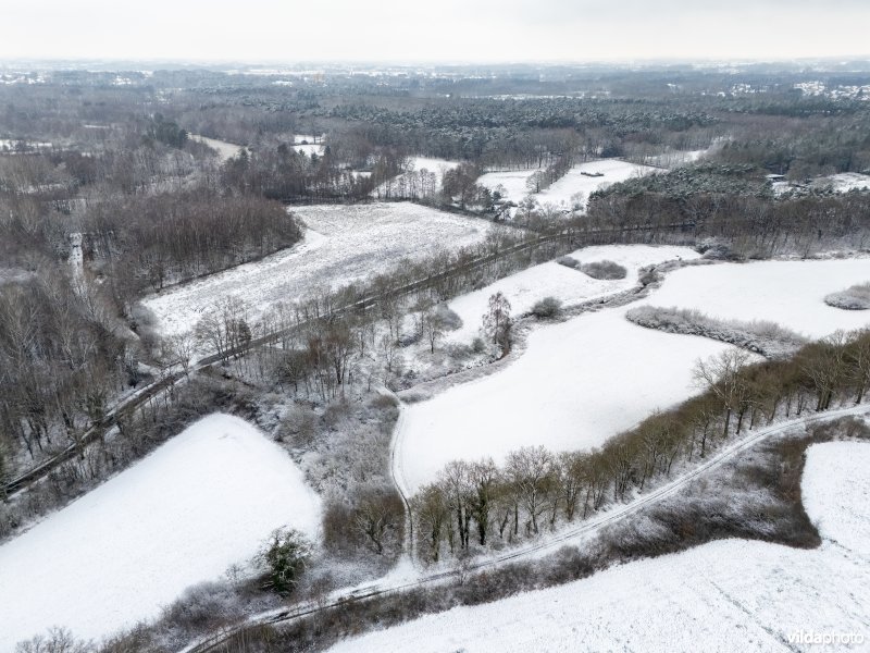 Kleinschalig landschap