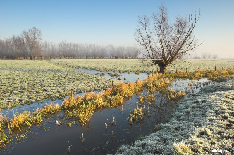 Vingelinkbeekvallei