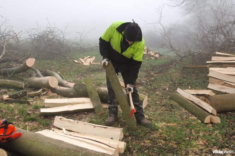 Gebruik van de hand-pikhaak