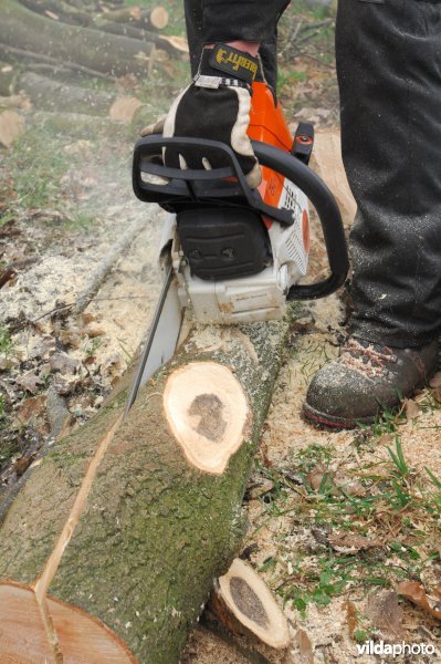 Het inzagen van een lastig te klieven stuk hout