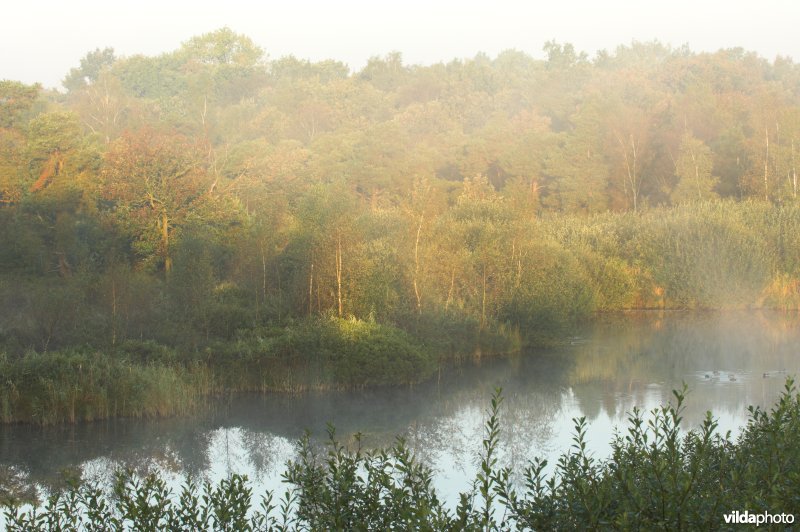 Landschap de Liereman