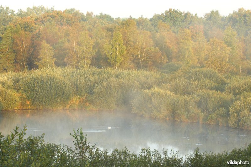 Landschap de Liereman