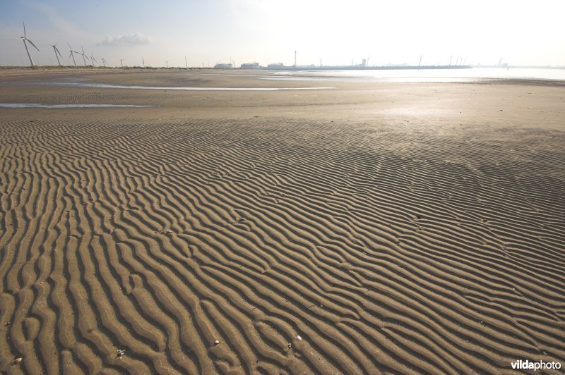 Sterneneiland in haven Zeebrugge