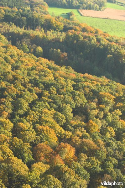 Luchtfoto bosreservaat te Voeren