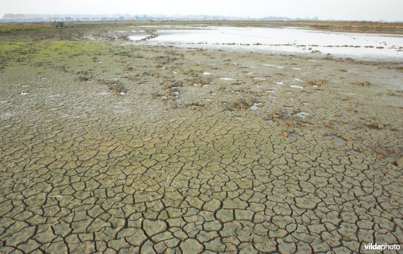 Molenplasje in de Uitkerkse Polders
