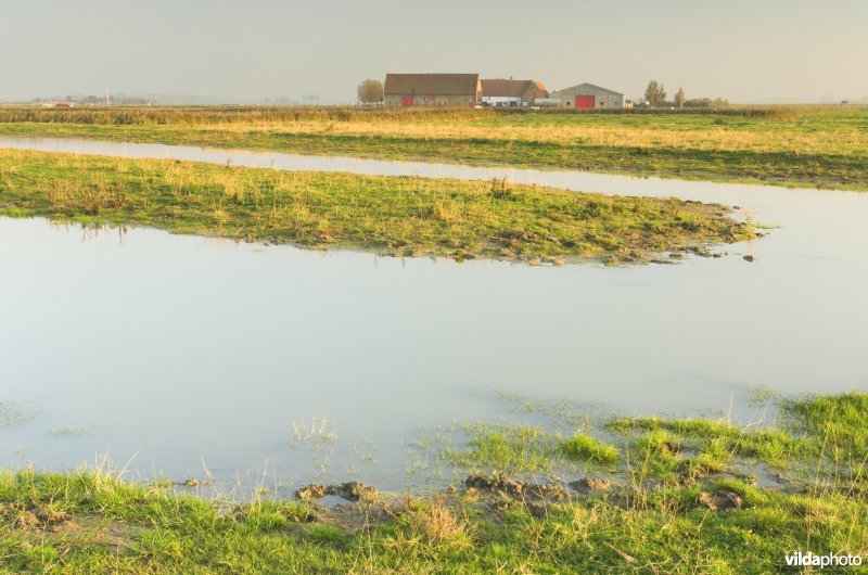 Uitkerkse polders