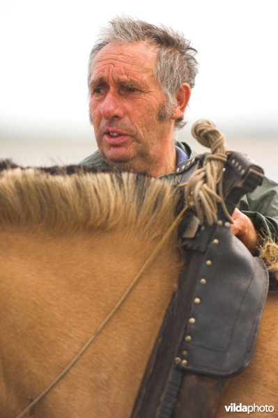 Garnaalvisserij te paard