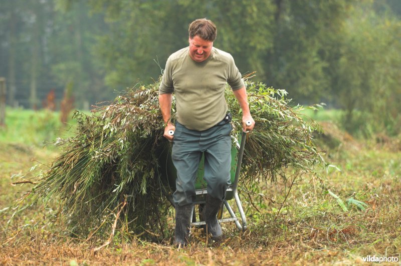 Natuurarbeiders aan de slag