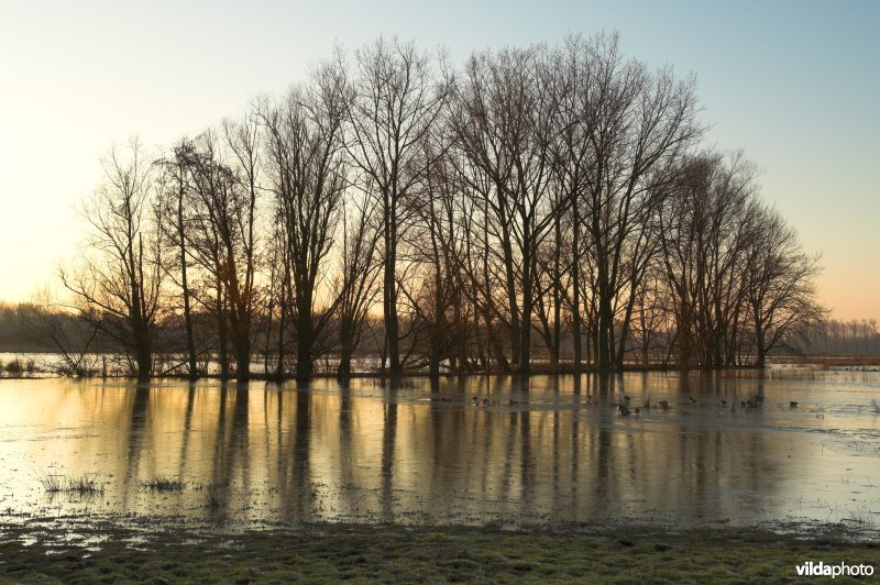 Natuurreservaat de Bourgoyen