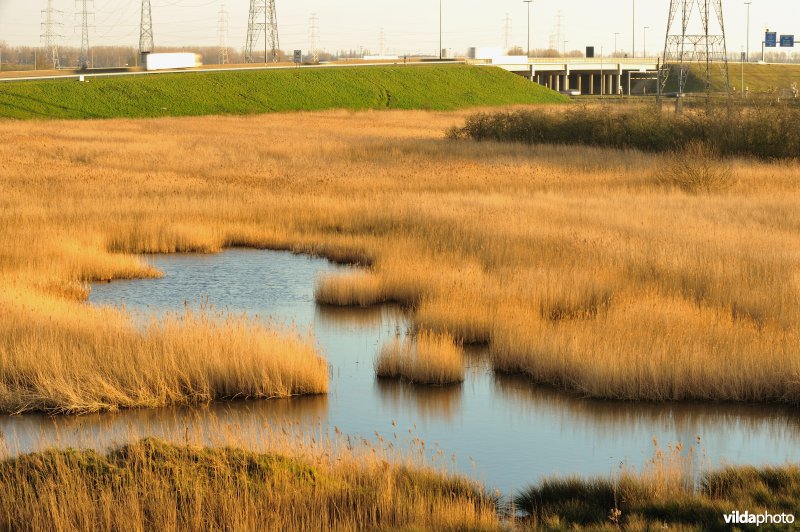 Steenlandpolder