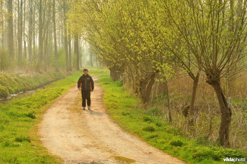 Natuurreservaat Vlassenbroekse Polder